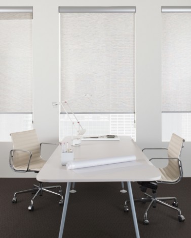 Roller Shades from The Shade Store