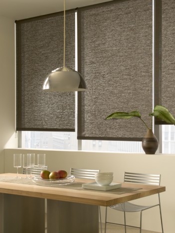 Roller Shades from The Shade Store