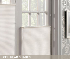 > CELLULAR SHADES