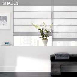SHADES