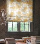 Decorative Window Treatments