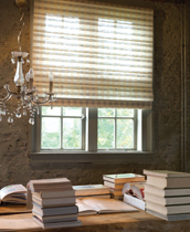 WOVEN WOOD SHADES