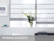 ROMAN SHADES