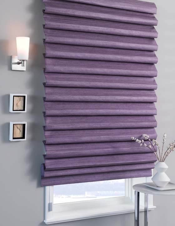 The Shade Store Pleated Roman Shade