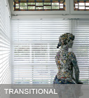 TRANSITIONAL