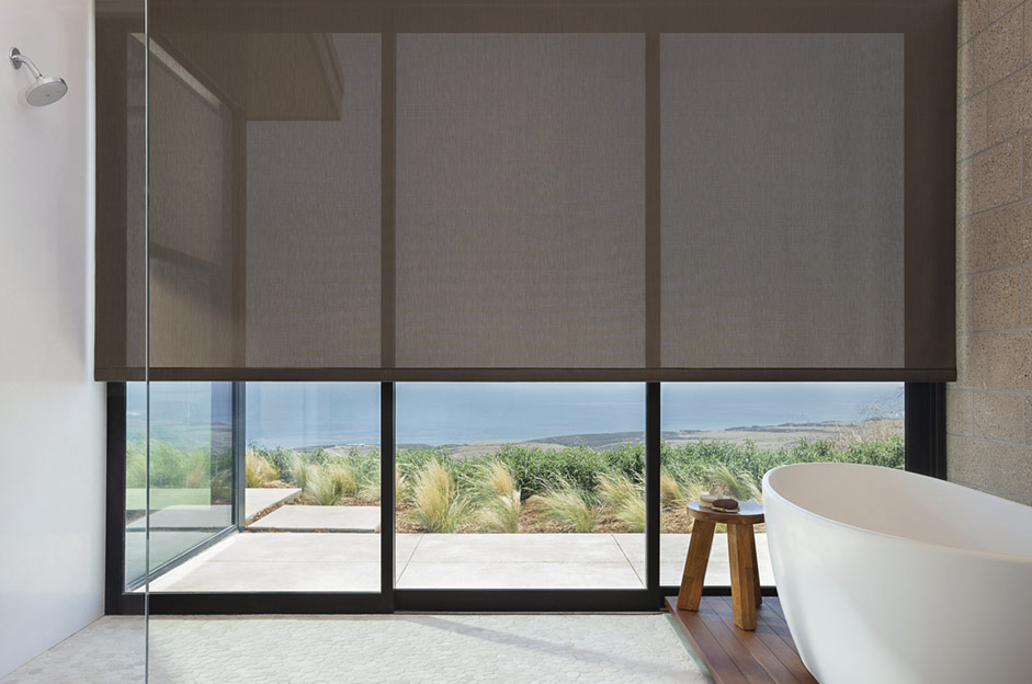 Roller Shades Archives Page 3 Of 14, What Are The Best Shades For Privacy Screens