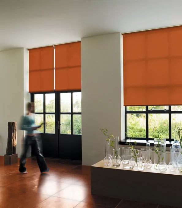 Roller Shades from The Shade Store