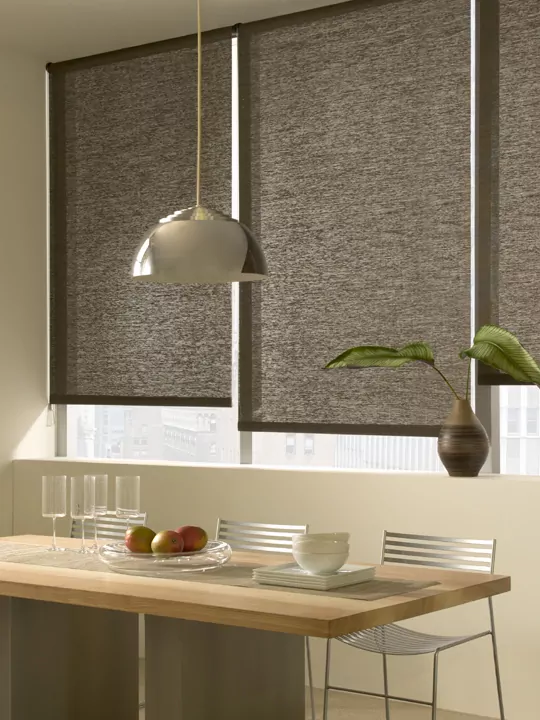 Roller Shades from The Shade Store, Eclectic Style