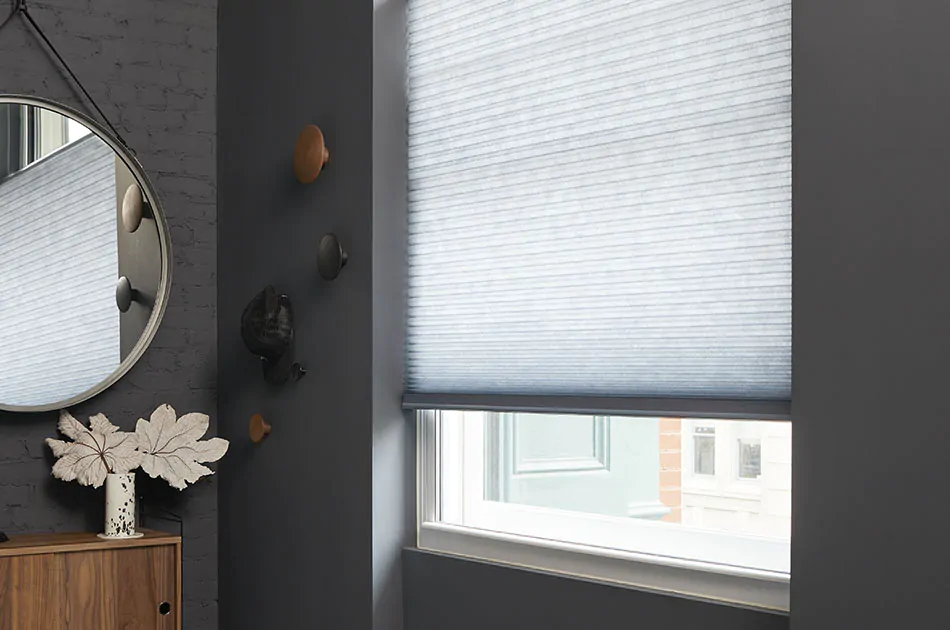 A cellular shade is one of the types of window shades and covers the bottom of a tall window in a dark grey foyer