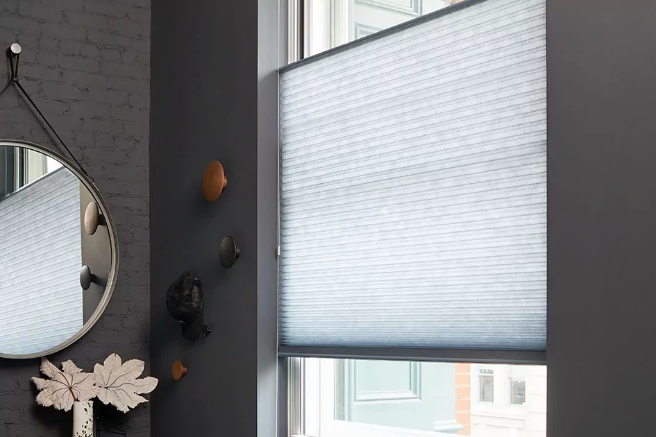 A top down bottom up cellular shade is one of the types of window shades and covers the bottom of a tall window