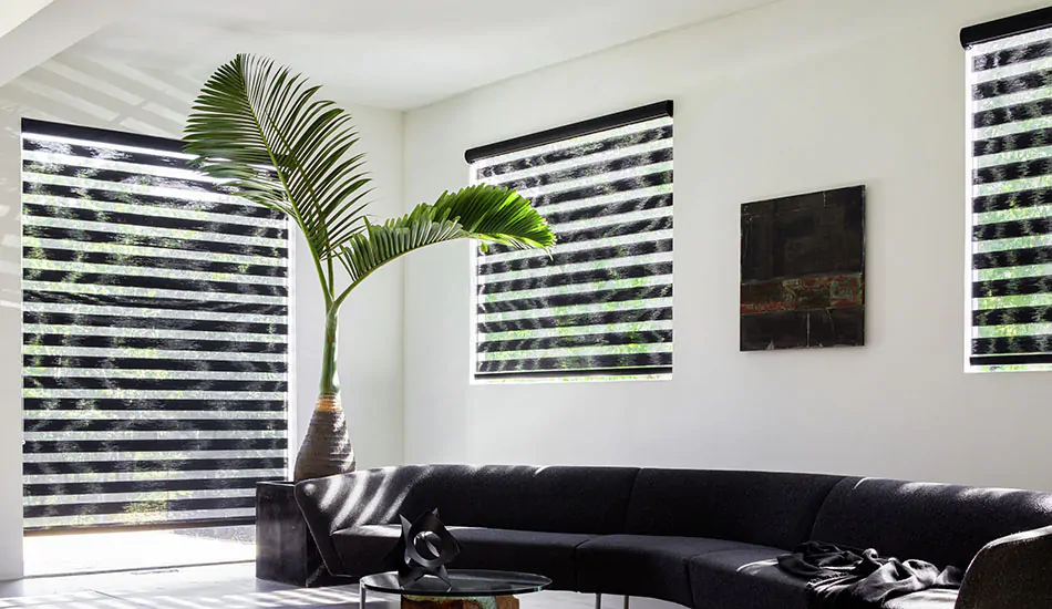 The best type of blinds for living room windows include these double roller shades treatment on three different windows