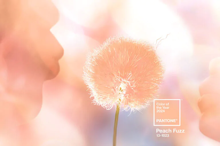 Pantone's color of the year, Peach Fuzz is displayed in an abstract illustration showing two faces blowing on a dandelion