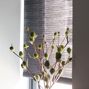 A plant with bulbs sits in front of a window with Solar Shade made of 5% Evergreen in Coal with a subtle woven texture