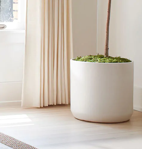 A potted plant sits in front of a floating drape panel made of Luxe Linen in Oyster matches the light wood flooring