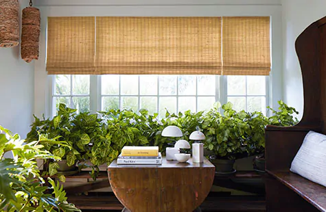 Woven Wood Shades made of Artisan Weaves Coastline in Oat offer a warm golden glow to a sunroom filled with plants