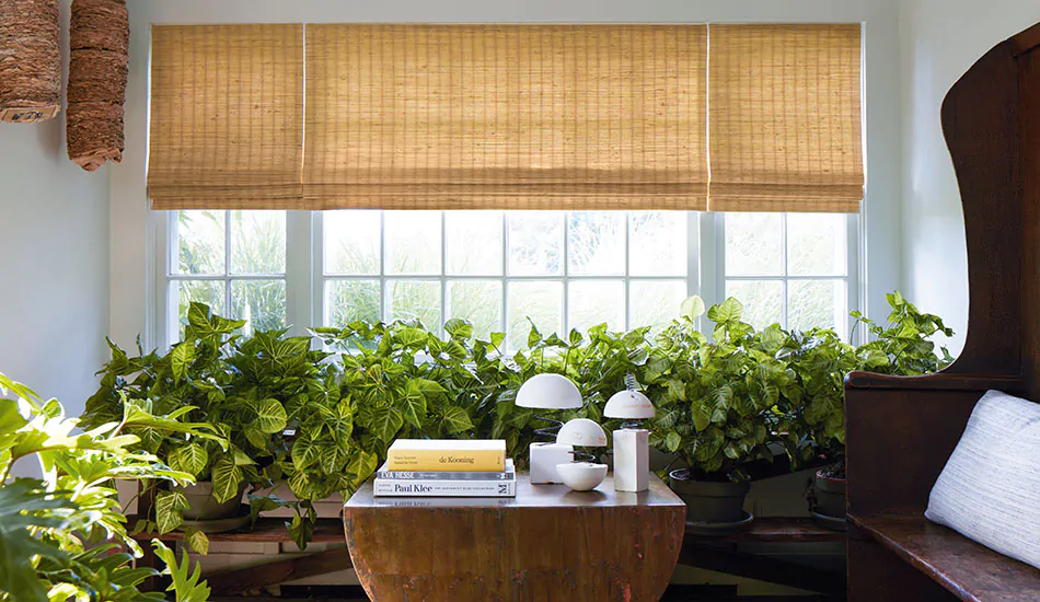 A sunroom with lots of plants with green leaves features Woven Wood Shades made of Coastline in Oat for a warm, golden glow
